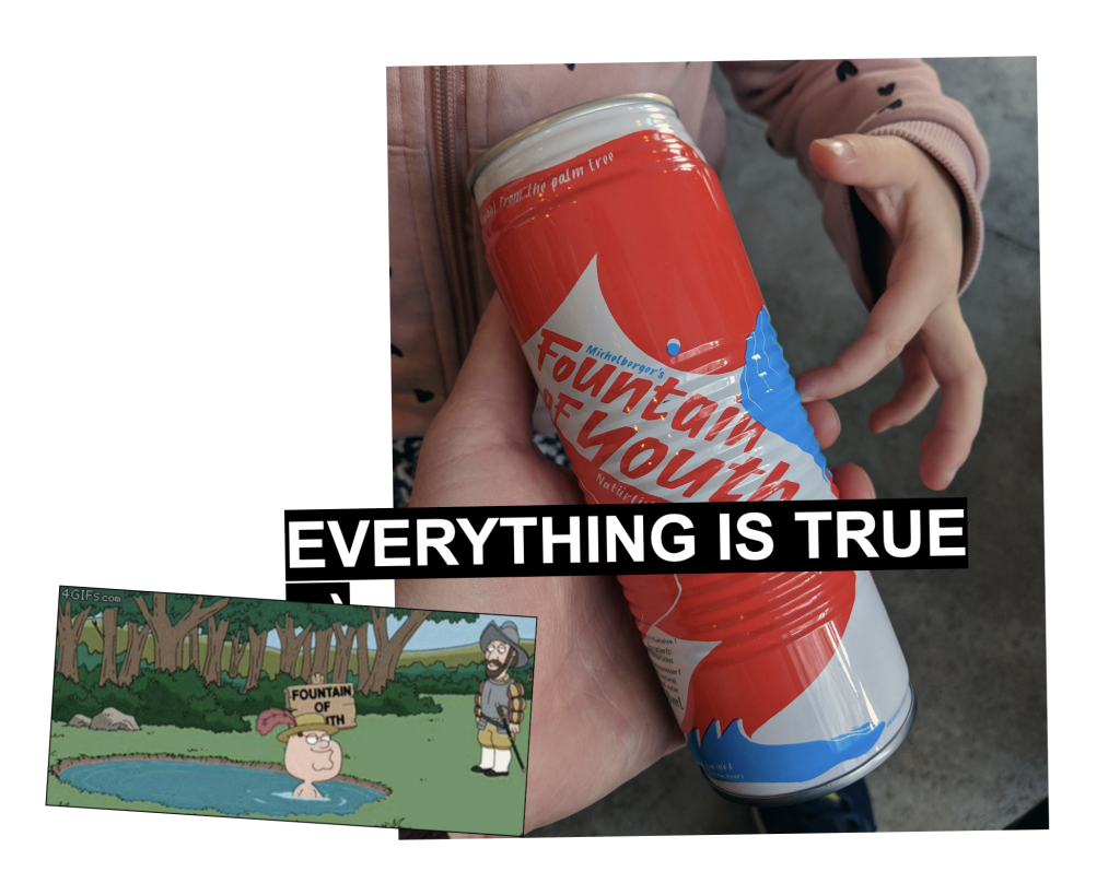EVERYTHING IS TRUE