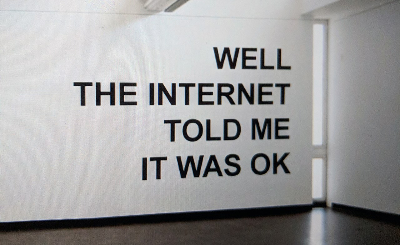 WELL THE INTERNET TOLD ME IT WAS OK - installation view